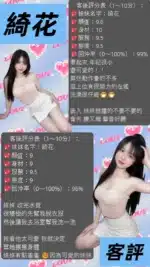 桃園定點茶-綺花/163/42/20/B