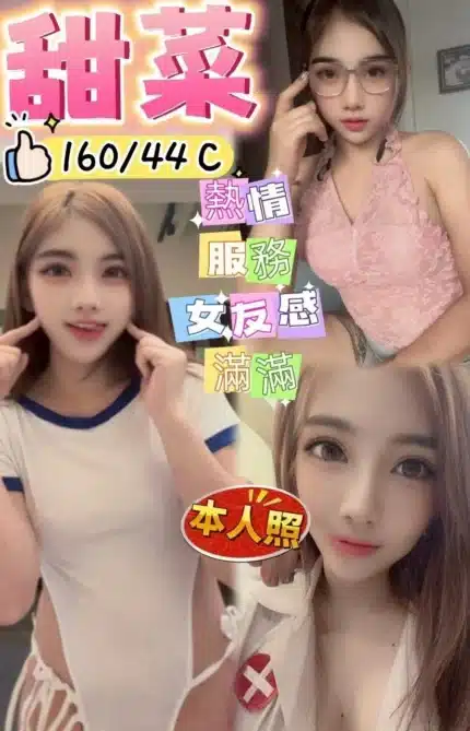 高雄定點茶-甜菜/160/44/20/C