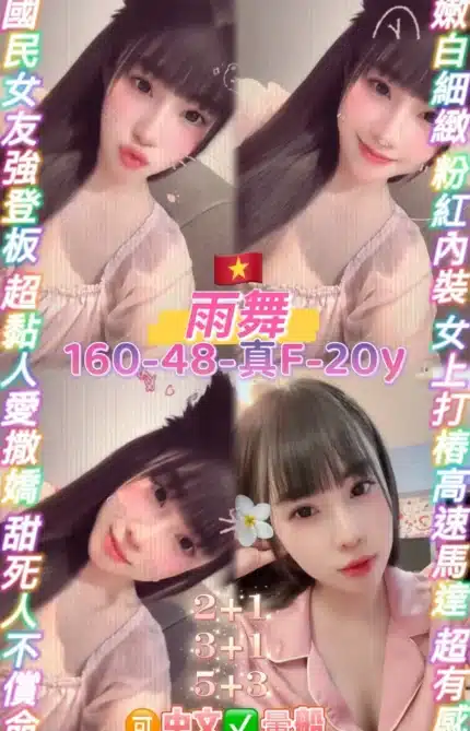 桃園定點茶-雨舞/160/48/20/F