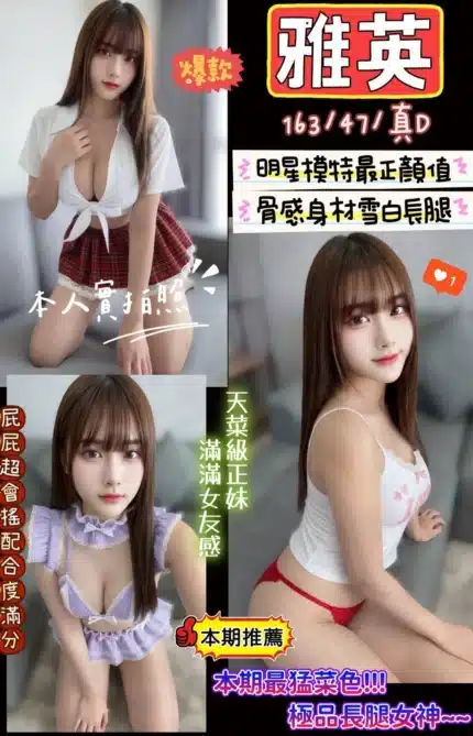 新竹定點茶-雅英/163/47/?/D