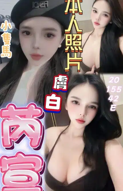 桃園定點茶-芮宣/155/42/20/E