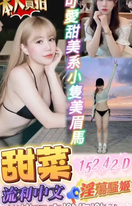 台中定點茶-甜菜/152/42/?/D