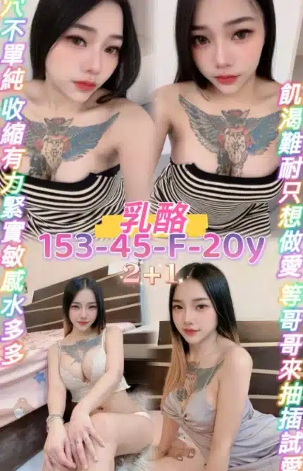桃園定點茶-乳酪/153/45/20/F