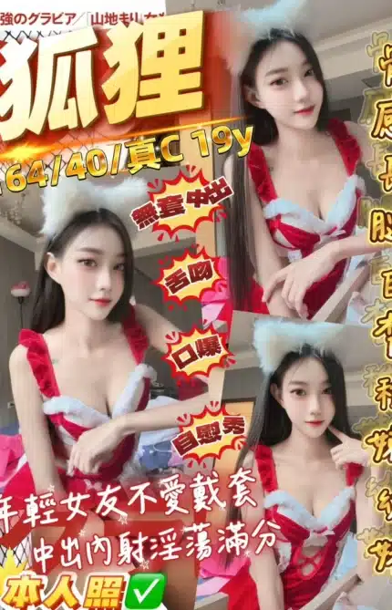 桃園定點茶-狐狸/164/40/19/C
