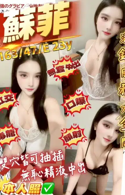 桃園定點茶-蘇菲/163/47/23/E