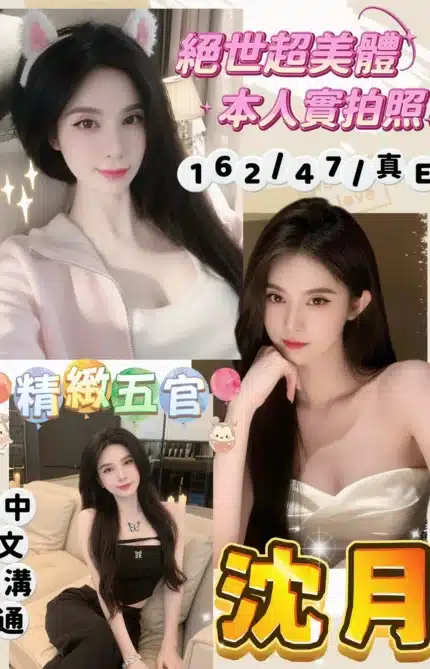 桃園定點茶-沈月/162/47/?/E
