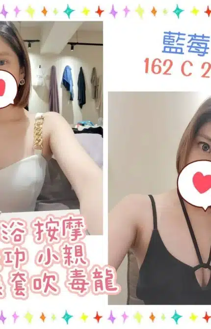 台北定點茶-藍莓/162/?/25/C