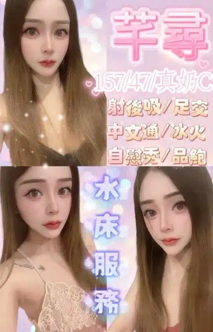 新竹定點茶-芊尋/157/47/24/C