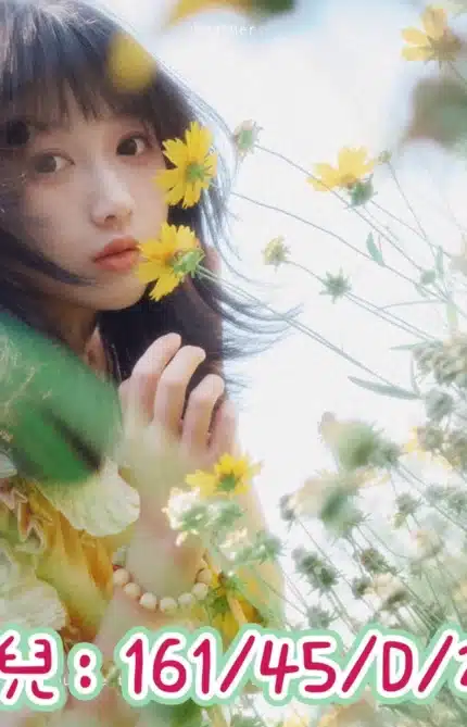 台中定點茶,外送茶-柚兒/161/45/23/D