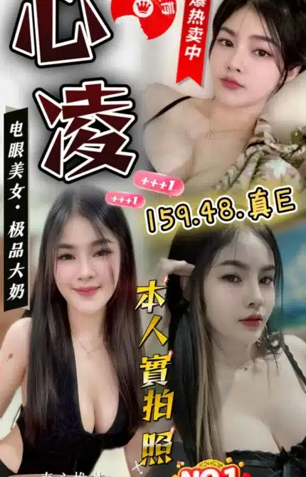 雲林定點茶-心凌/159/48/23/E