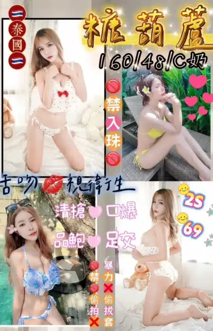 花蓮定點茶-糖葫蘆/160/48/?/C
