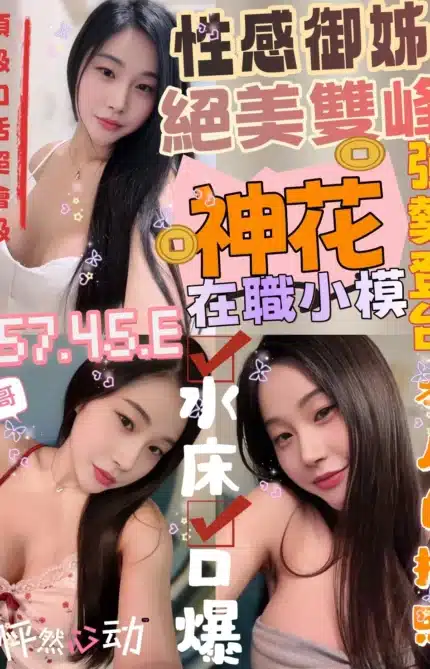 新竹定點茶-神花/157/45/22/E