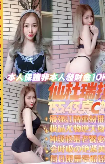 新北定點茶-仙杜瑞拉/155/43/22/C