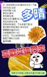 台中定點茶-多晴/155/44/?/E