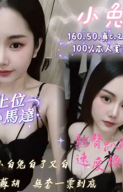 嘉義定點茶-小兔/160/50/23/C