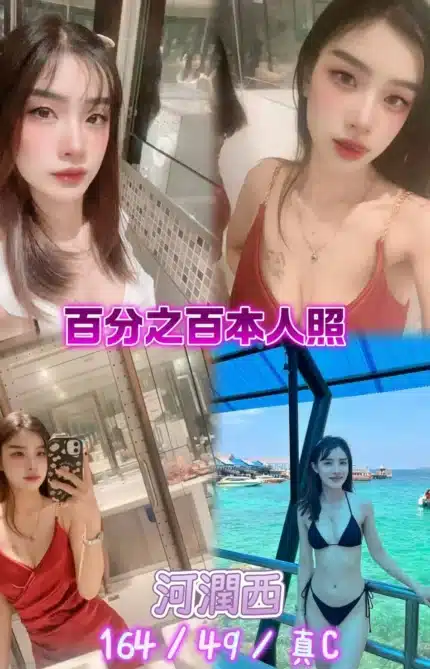 新北定點茶-河潤西/164/49/25/C