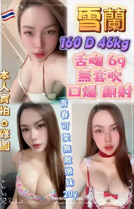 新北定點茶-雪蘭/160/46/20/D
