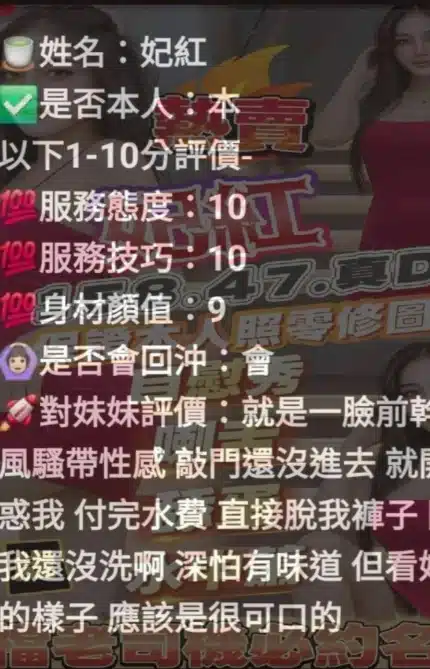 新竹定點茶-妃紅/158/47/22/D
