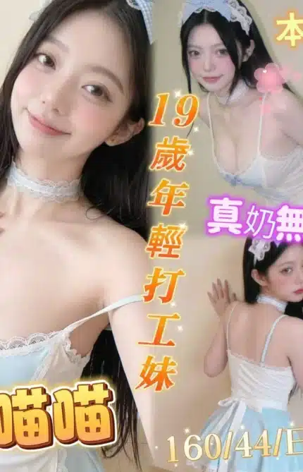 台南定點茶-萌喵喵/160/44/19/E