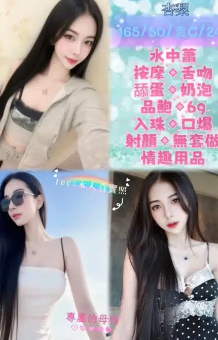 新北定點茶-杏梨/165/50/24/C