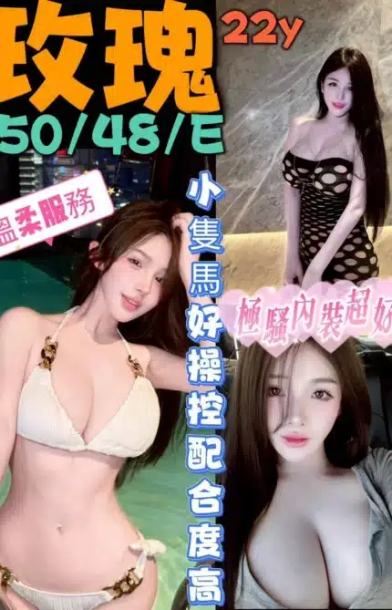 台中定點茶-玫瑰/150/48/22/E