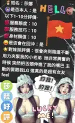 雲林定點茶-莎娜/158/45/?/E