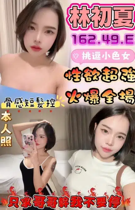 雲林定點茶-林初夏/162/49/?/E
