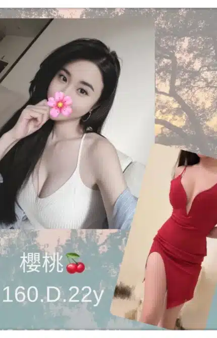 台北外送茶-櫻桃/160/?/22/D