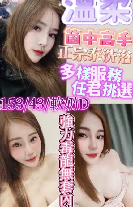 新竹定點茶-溫柔/153/43/24/D