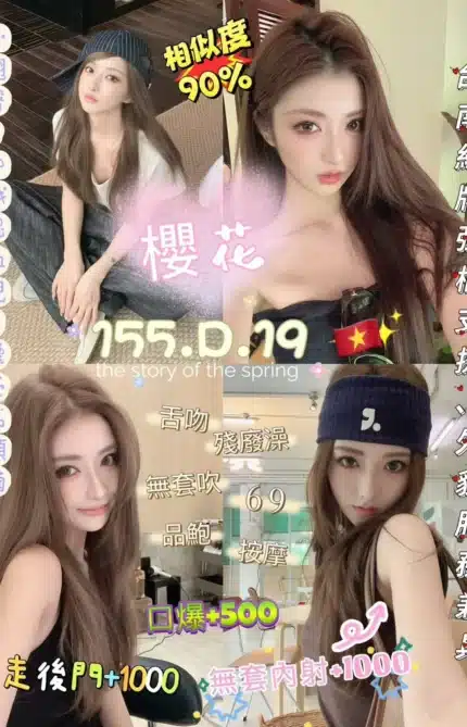 台北定點茶-櫻花/155/45/19/D