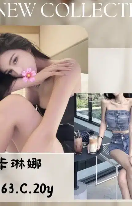 台北外送茶-卡琳娜/163/?/20/C