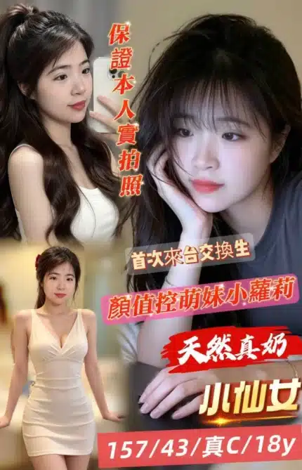 台南定點茶-小仙女/157/43/18/C