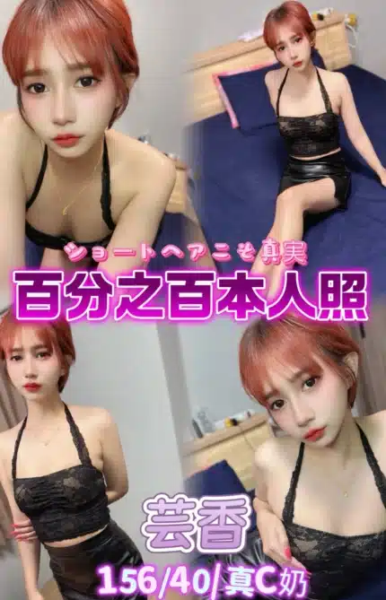 台北定點茶-芸香/156/40/22/C