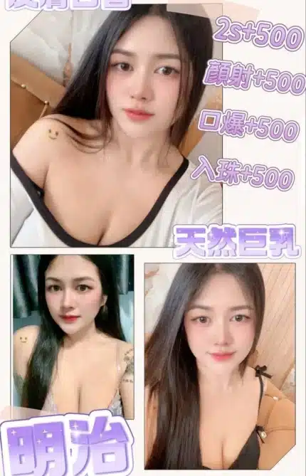 澎湖定點茶-明治/162/48/24/E