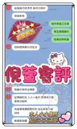 高雄定點茶-倪萱/160/43/23/D