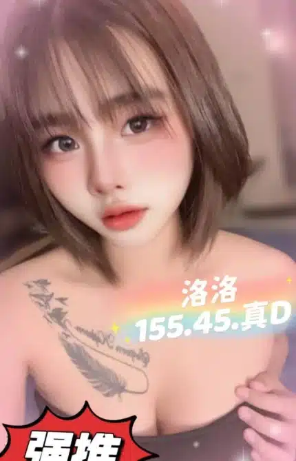 新竹定點茶-洛洛/155/45/20/D