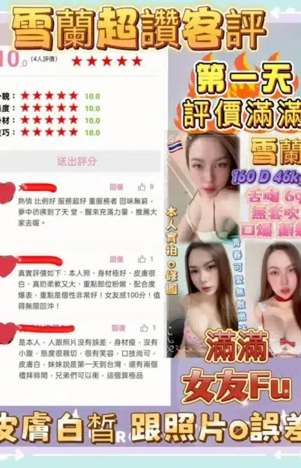 新北定點茶-雪蘭/160/46/20/D