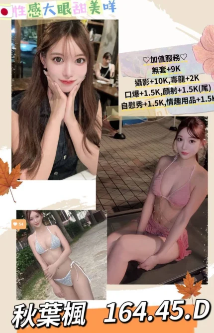台北外送茶-秋葉楓/164/?/45/D