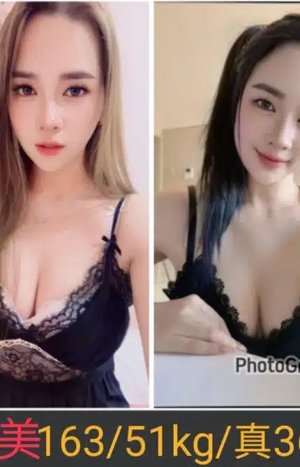 南投定點茶-雅美/165/51/24/D