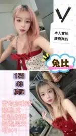 台北定點茶-兔比/158/43/?/D
