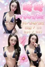新竹定點茶-糖糖/153/42/24/E