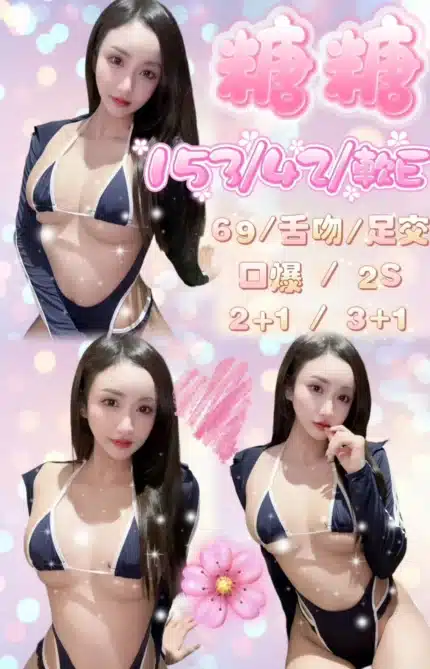 新竹定點茶-糖糖/153/42/24/E