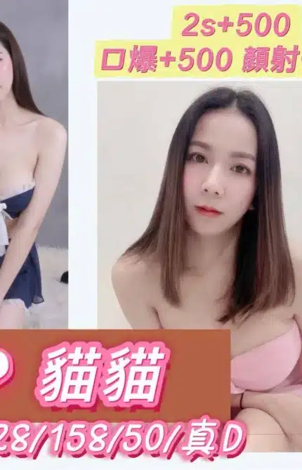 南投定點茶-貓貓/158/50/28/D