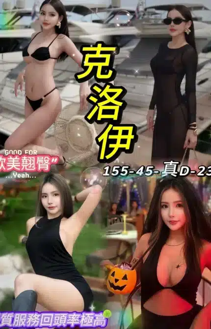 台北定點茶-克洛伊/155/45/23/D