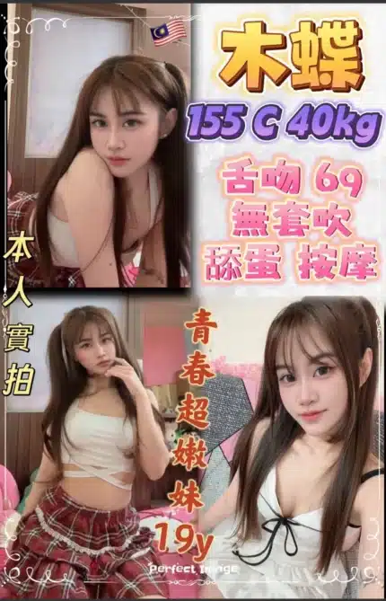 新北定點茶-木蝶/155/40/19/C