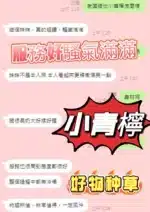 南投定點茶-小青檸/159/46/?/D