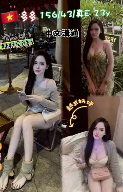 桃園定點茶-多多/156/43/23/E