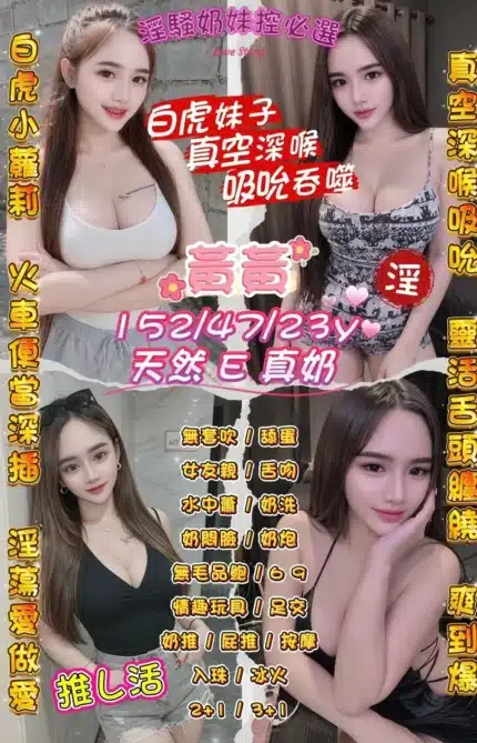 桃園定點茶-黃黃/152/47/23/E