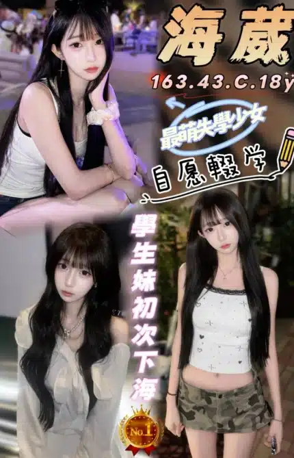 台中外送茶-海葳/163/43/18/C