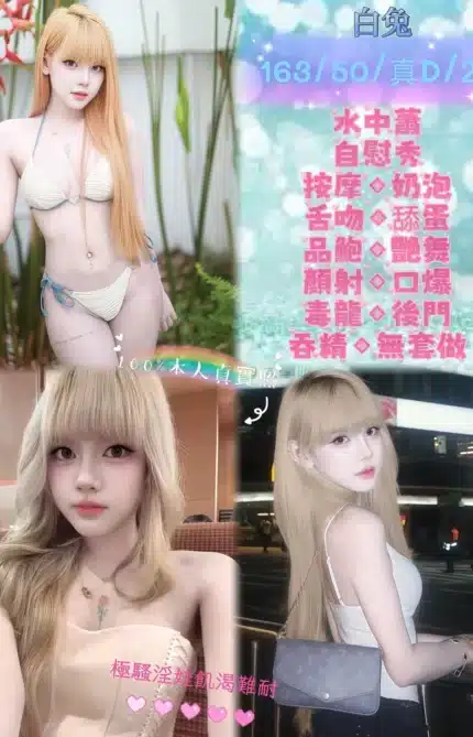 新北定點茶-白兔/163/50/21/D